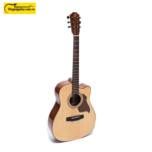 Các góc ảnh của Đàn Guitar Acoustic Martin 350 Website : Thegioiguitar.com.vn – Hotline : 0865 888 685