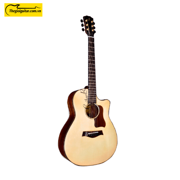 Các góc ảnh của Đàn Guitar Acoustic Taylor T550D Gỗ Điệp Website : Thegioiguitar.com.vn Hotline : 0865 888 685