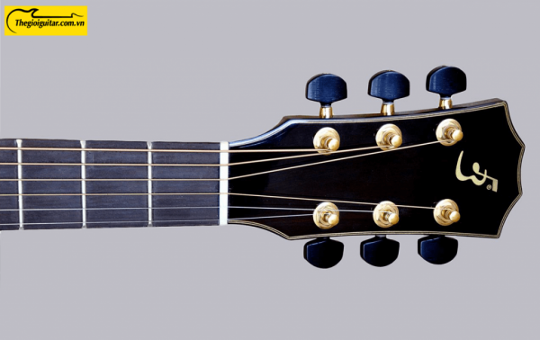Các góc ảnh của Đàn Guitar Acoustic Taylor T550D Gỗ Điệp Website : Thegioiguitar.com.vn Hotline : 0865 888 685