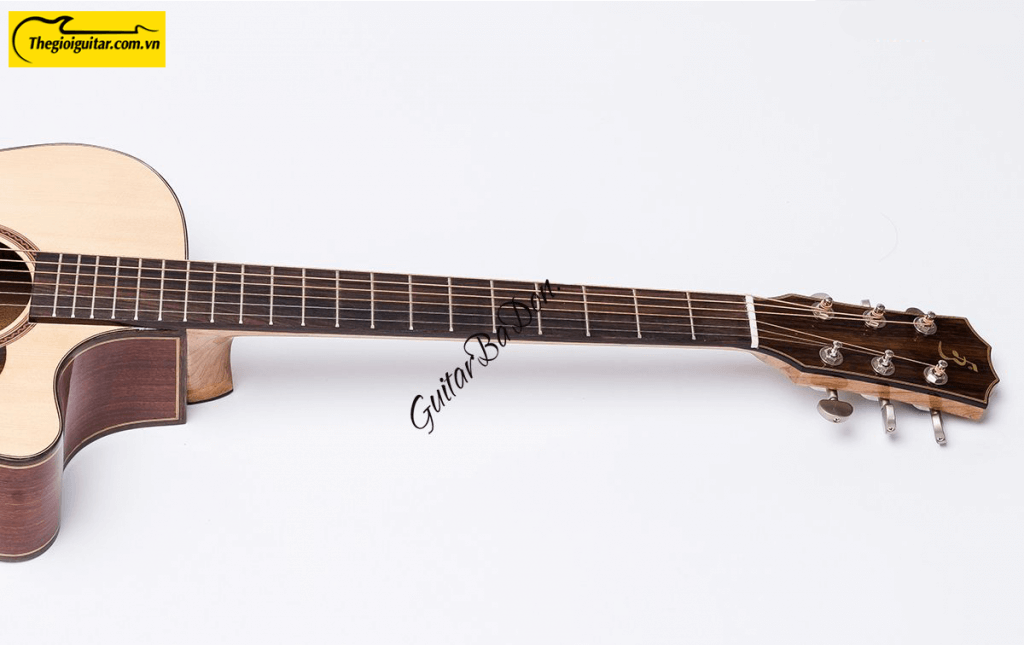 Các góc ảnh của Đàn Guitar Acoustic Taylor T450 có gù Website : Thegioiguitar.com.vn Hotline : 0865 888 685