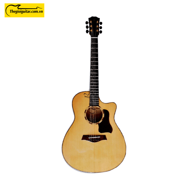 Các góc ảnh của Đàn Guitar Acoustic Taylor T550C Gỗ Còng Website : Thegioigu itar.com.vn Hotline : 0865 888 685