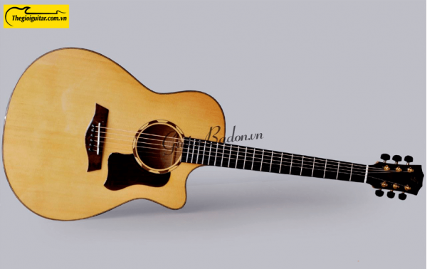 Các góc ảnh của Đàn Guitar Acoustic Taylor T550C Gỗ Còng Website : Thegioigu itar.com.vn Hotline : 0865 888 685