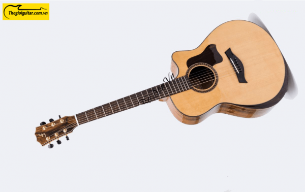 Các góc ảnh của Đàn Guitar Acoustic Taylor 600 Website : Thegioiguitar.com.vn Hotline : 0865 888 685