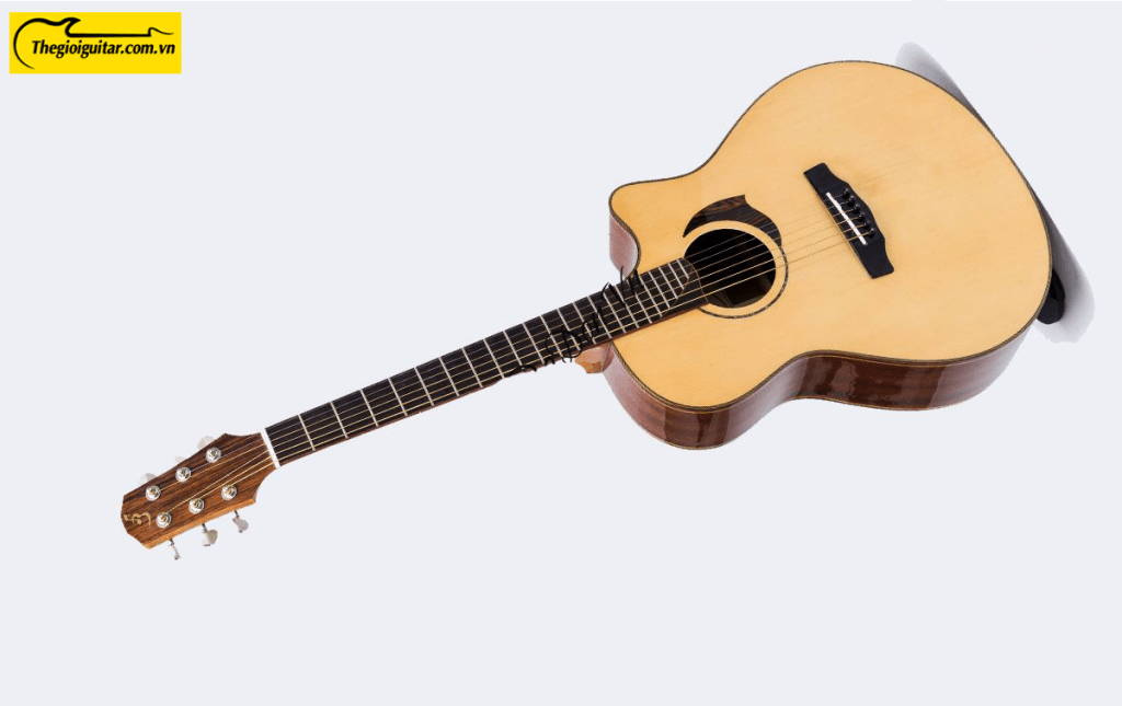 Các góc ảnh của Đàn guitar acoustic Taylor T650 Website : Thegioiguitar.com.vn Hotline : 0865 888 685