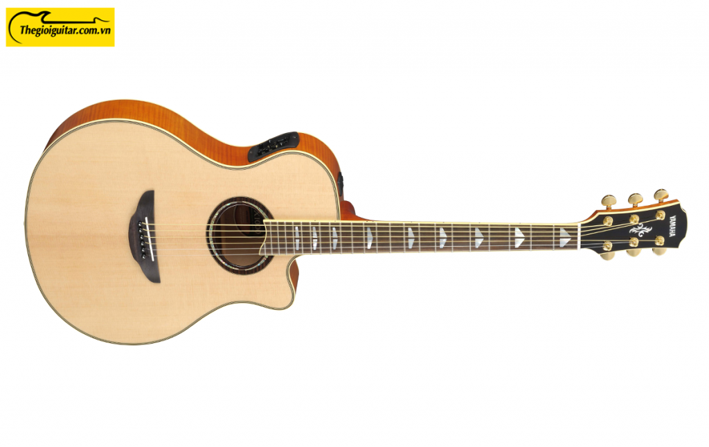 Đàn Guitar Yamaha APX1000 Màu Natural | Thegioiguitar.com.vn | 0865 888 685