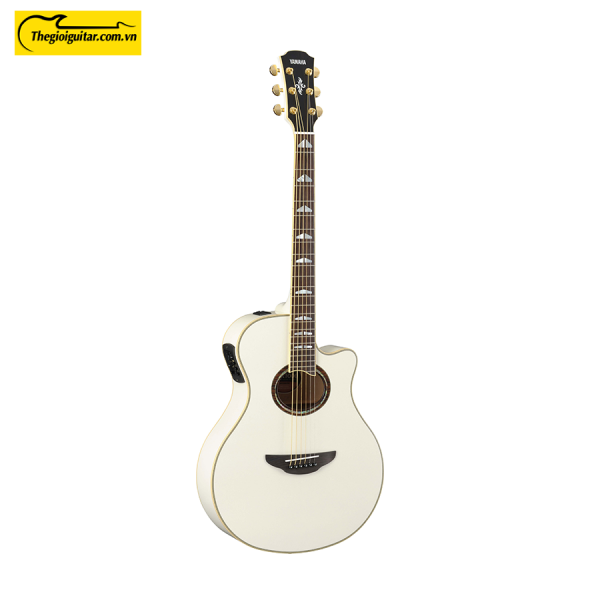 Đàn Guitar Yamaha APX1000 Màu Pearl While | Thegioiguitar.com.vn | 0865 888 685