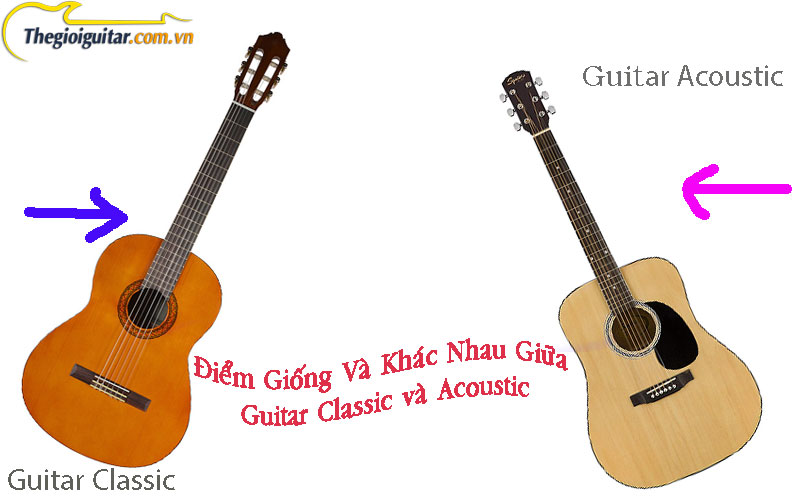 Điểm Giống Và Khác Nhau Giữa Đàn Guitar Classic và Acoustic