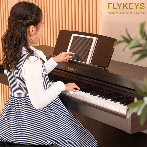 Piano-Flykeys-LK03S-flykeys-8